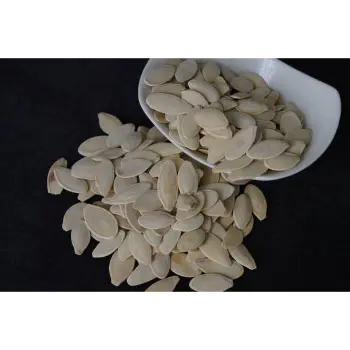 Natural  Squash Seed
